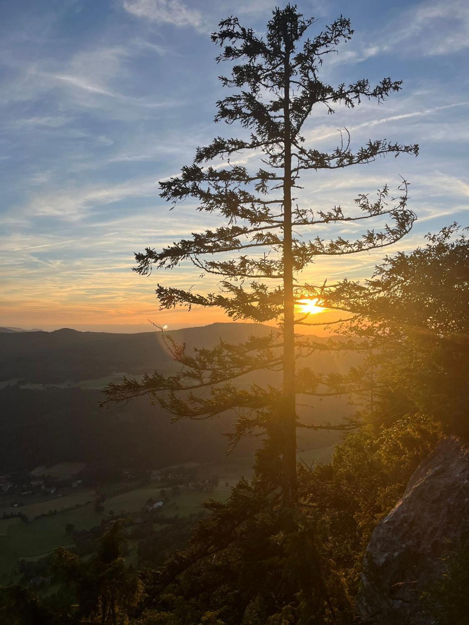 Gîte La Morandière Saint-Martin-en-Vercors Esterno foto